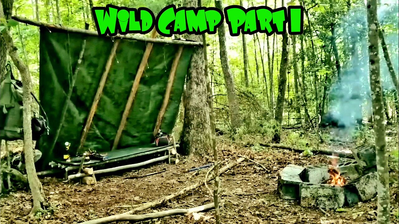 Wild Camp Overnighter Bushcraft Shelter Part1