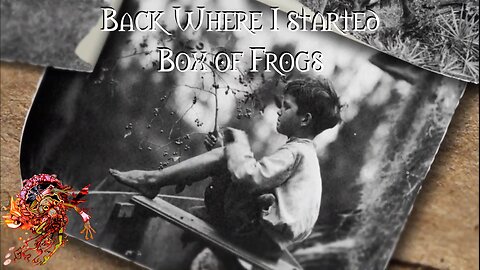 Back Where I Started Box of Frogs