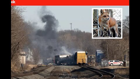 COVERUP: Ohio train wreck makes town uninhabitable