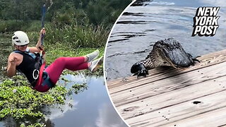Gator almost got woman zip-lining dangerously low over swamp
