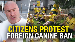 Dog lover protesters: Countless canines being killed by federal ban on foreign adoption