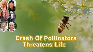 Why The Incredible Ecological Crash Of Bees And Pollinators Threatens Life As We Know It
