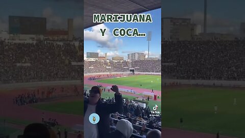 Raja Casablanca amazing chant “Somos curva Sud #football #rajacasablanca #viral #amazing #shorts