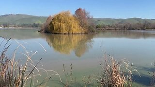 Elizabeth Lake (Fremont Central Park) on a clear morning.