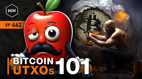 Bitcoin UTXOs 101 with Wicked Smart Bitcoin (WiM462)
