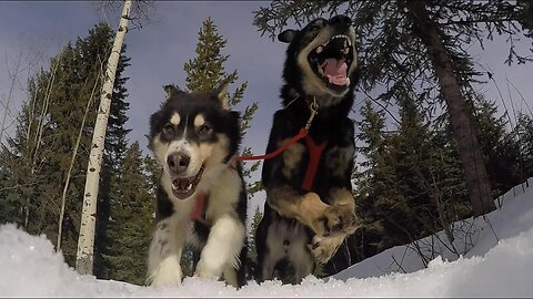 Kids Off-Grid... Turn to Mush