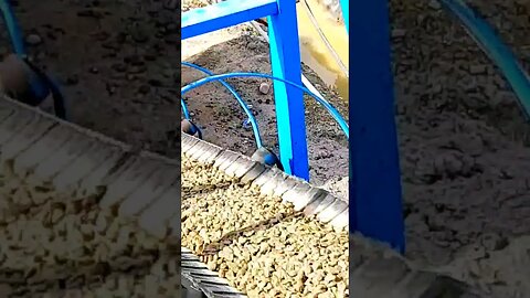 Conveyor belt transporting stone form addictive tank in ready mix plant #shorts