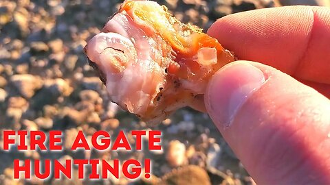 Hunting Fire Agates | Part 1