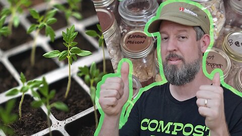 Use Plant Genetics to Grow the Best Garden Ever - Start Transplants Like This!