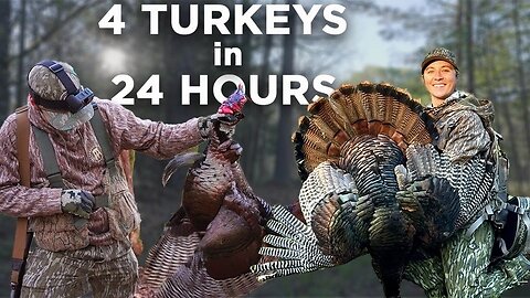 These Georgia Turkeys Would Not Stop Gobbling!