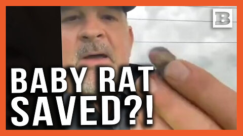 "Anybody Want a Baby Rat?" East Texas Sheriff Saves Animal from Flood