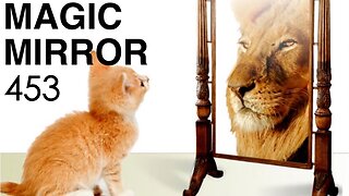 Magic Mirror 453 - Fake News