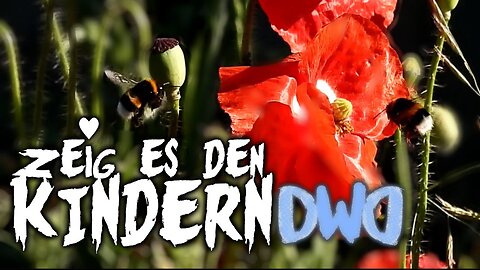 Zeig es den Kindern - Mutter Erde, Wald, Garten, Tiere und Pflanzen