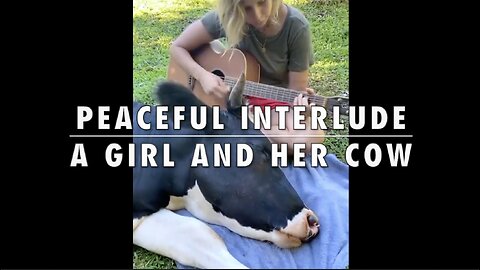 Peaceful Interlude - A Girl and Her Cow