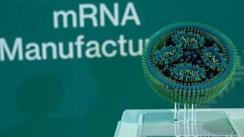 BioNTech to start mRNA vaccine output in Rwanda in 2025 | Reuters