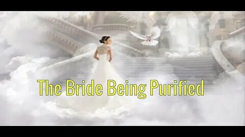 The Bride Being Purified by Dr Michael H Yeager