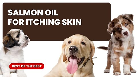 Add Salmon Oil to Your Dog's Diet to Fight Itchy, Inflamed and Dry Skin