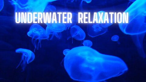 ASMR Water Sounds | Deep Sleep Meditation and Sea Life Wonders