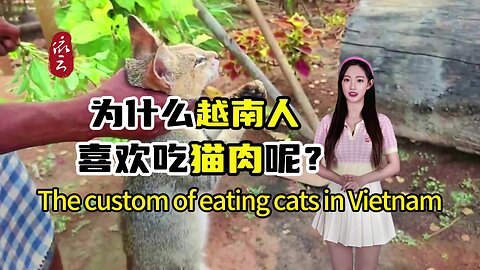 Vietnam's habit of eating "cats"