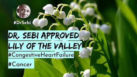 Dr. Sebi Approved - LILY OF THE VALLEY - Good For HEART FAILURE & CANCER etc.