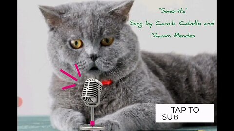 cat cover senorita Camila Cabello and Shawn Mendes