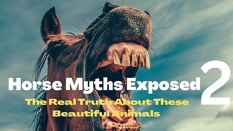 Horse Myths Busted: Clearing Up Common Misconceptions 2