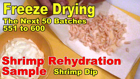 Freeze Drying - The Next 50 Batches - Rehydrating a bit of Shrimp and Making Chip Dip
