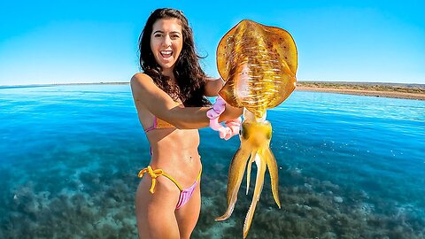 Giant Tiger Squid Catch And Cook