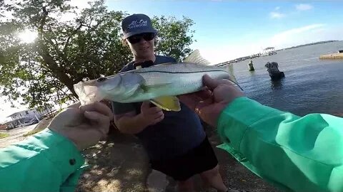 Travel Belize, fishing videos, fishing Belize, fishing Belize on a budget, snook, mangrove snapper