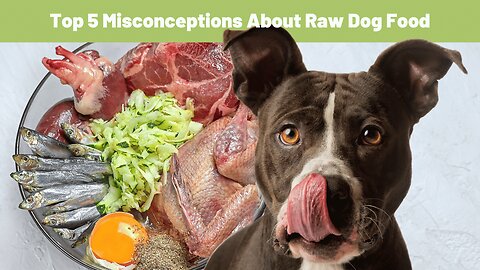 Debunking the Top 5 Misconceptions About Raw Dog Food - Raw Origins Raw Dog Food