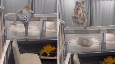 Dog hilariously jumps into little girl's crib