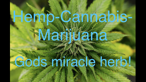 Hemp-Cannabis-Marijuana is Gods Miracle Herb!
