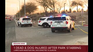 Man and dog stabbed in altercation at Las Vegas park