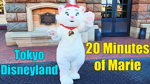 Marie at Tokyo Disneyland from the Aristocats Being Cute for 20 minutes