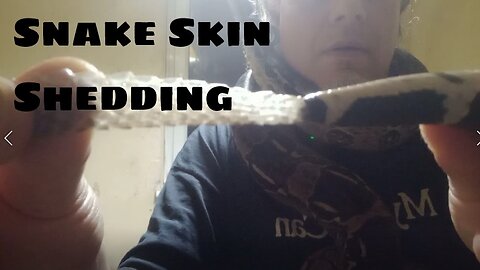 Snake Skin Shedding - Part 1 (BOA CONSTRICTOR)