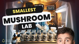 Home Mushroom Farm | Mini Mushroom Farming