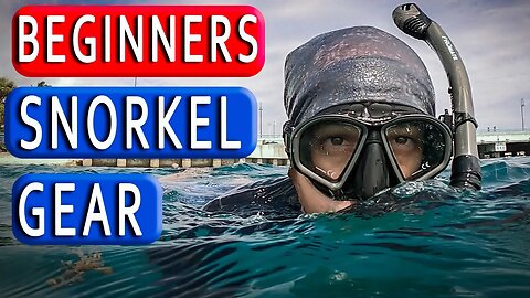 Snorkeling Gear for Beginners 🤿 Best Snorkel Mask Snorkel Gear to get Started