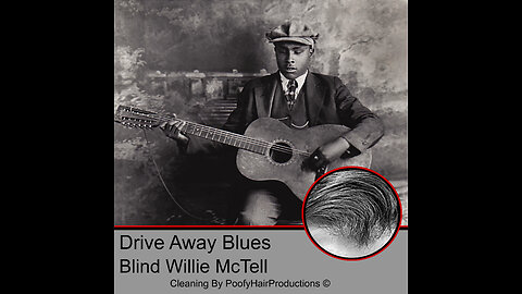 Driven Away Blues, by Blind Willie Mctell