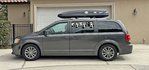 3 Michigan Great Danes Arrive & Greet 2 Florida Friends for Vacation Together