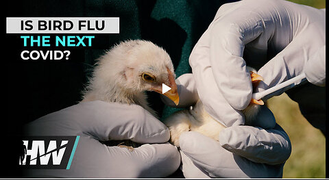 IS BIRD FLU THE NEXT COVID?