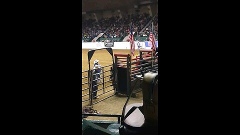 PRCA Rodeo Bullriding at Minnesota Horse Expo