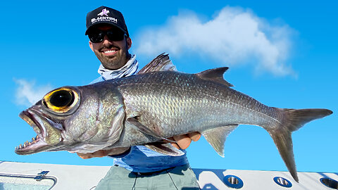 Big Sandfleas Catch Tiny Fish? #fishing #fish 