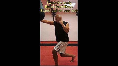 Punch Elbow Push Kick Demo