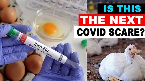 IS BIRD FLU THE NEXT COVID?