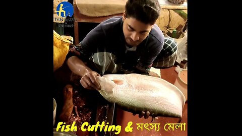 Amazing Cutting Skills | Giant Chital Fish Cleaning & Cutting By Expert Fish Cutter