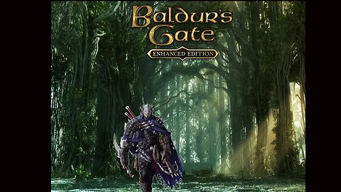 Baldur's Gate: Enhanced Edition. Part 11. Finding some mercenary work.