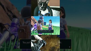 A Dog Plays Pokémon Scarlet & Violet - Playthrough Battling #shorts #pokemon #fyp #fypシ