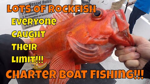 ROCKFISH LIMIT FOR EVERYONE :O! Charter Fishing Monterey Bay, CA