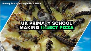 Primary school in the United Kingdom making insect pizza for its students