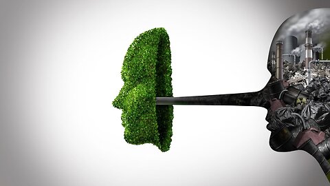 Futuro Green: Una Distopia a Emissioni Zero!!!
